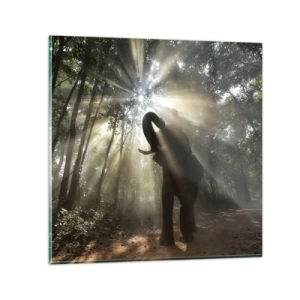 Üveg kép - A szerencsecsillag alatt - 40x40 cm