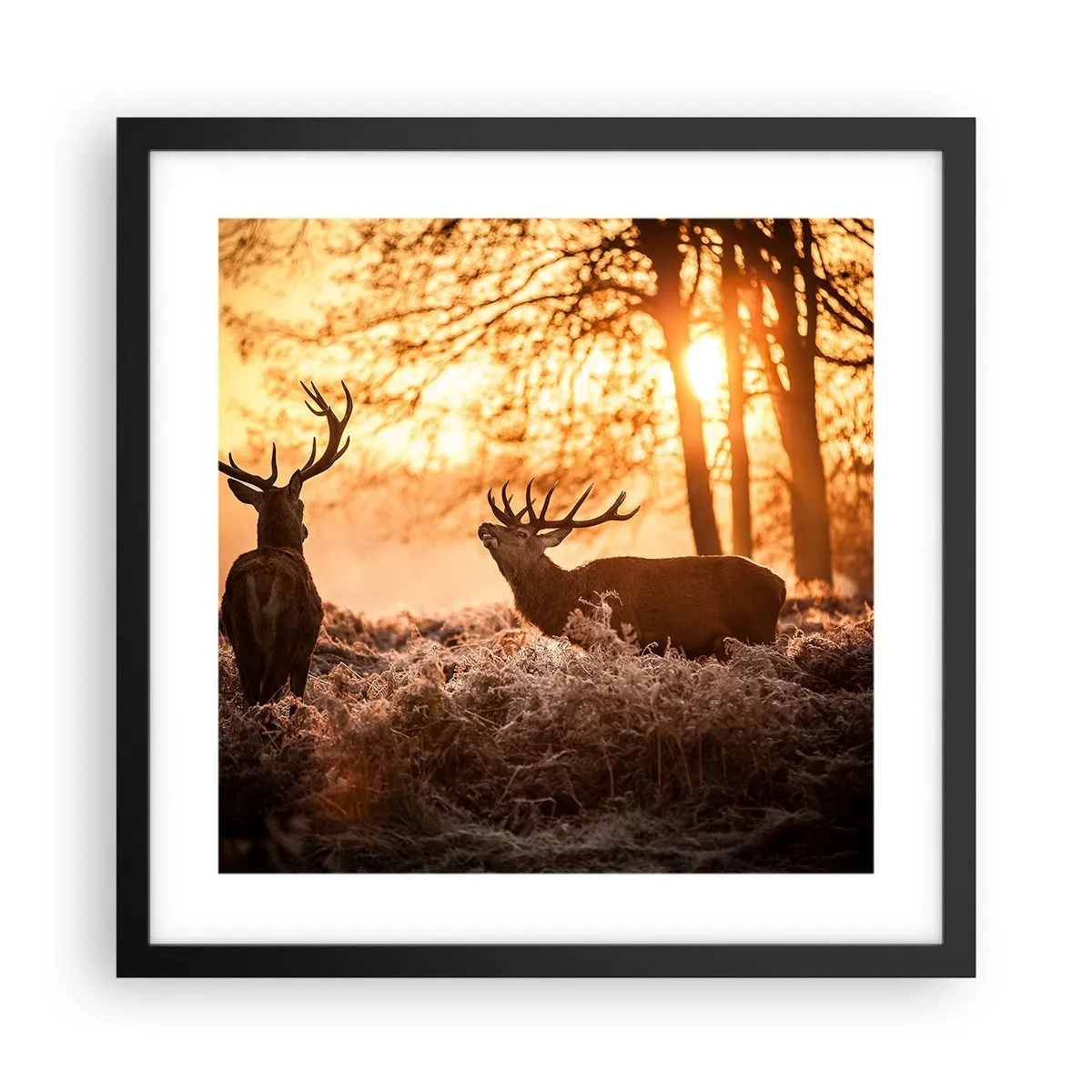Poszter fehér keretben - Vadász álma - 40x40 cm