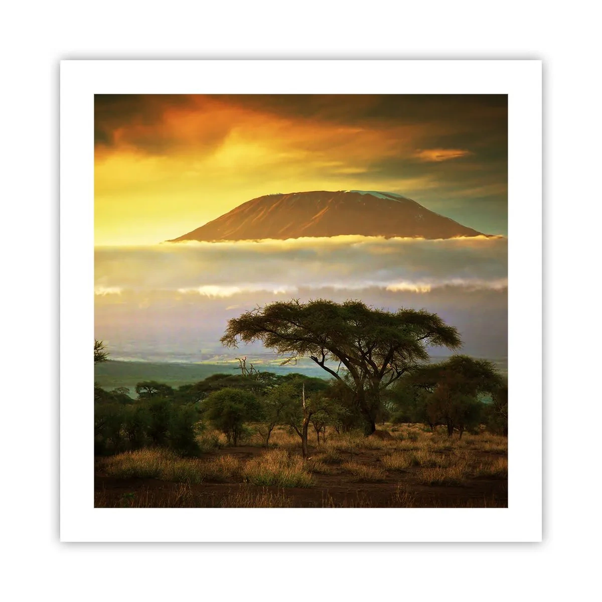 Poszter - Utazó álma - 50x50 cm