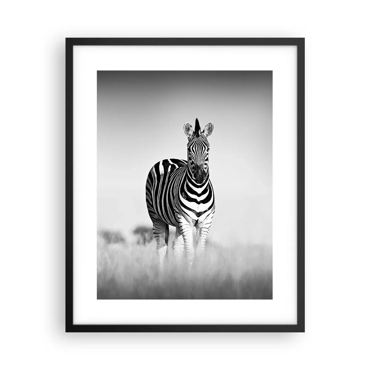 Poszter fehér keretben - A világ mégis fekete-fehér - 40x50 cm