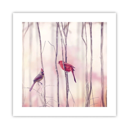 Poszter - Rózsaszín erdő története - 40x40 cm