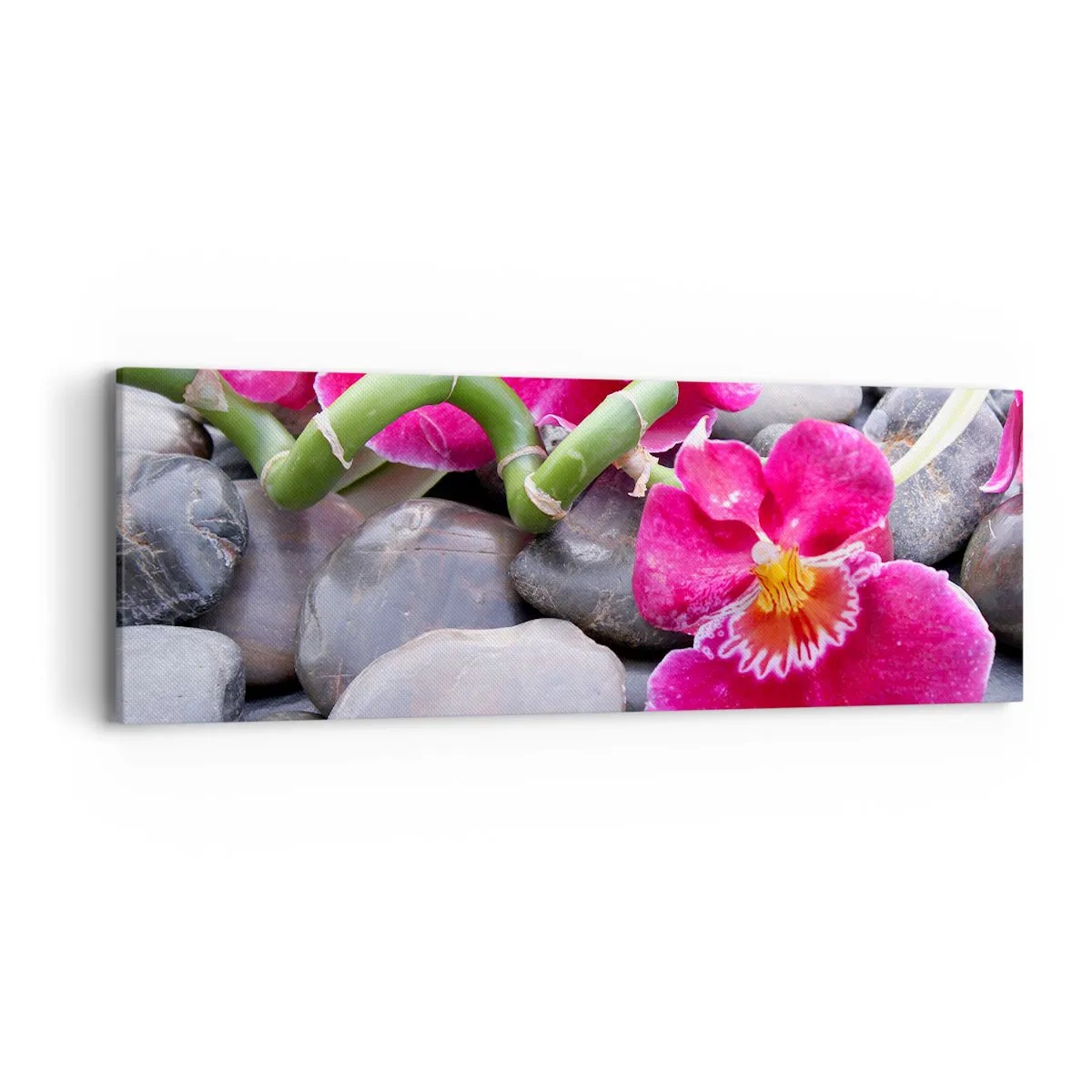 Vászonkép - Hideg és forró - 90x30 cm