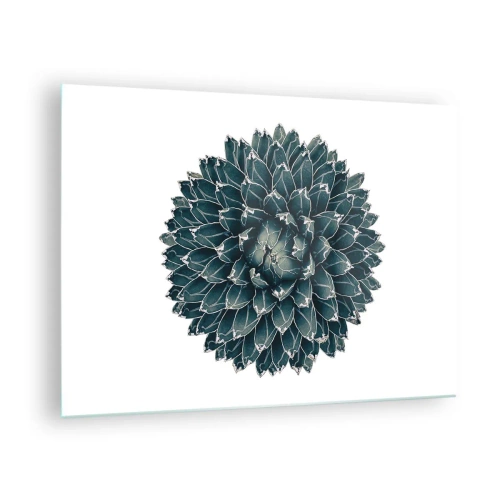 Üveg kép - Szimmetrikus minta pozsgás növény fehér háttér - 70x50cm - A sivatag csillaga - Modern fali dekoráció nappalihoz és hálószobához ARTTOR