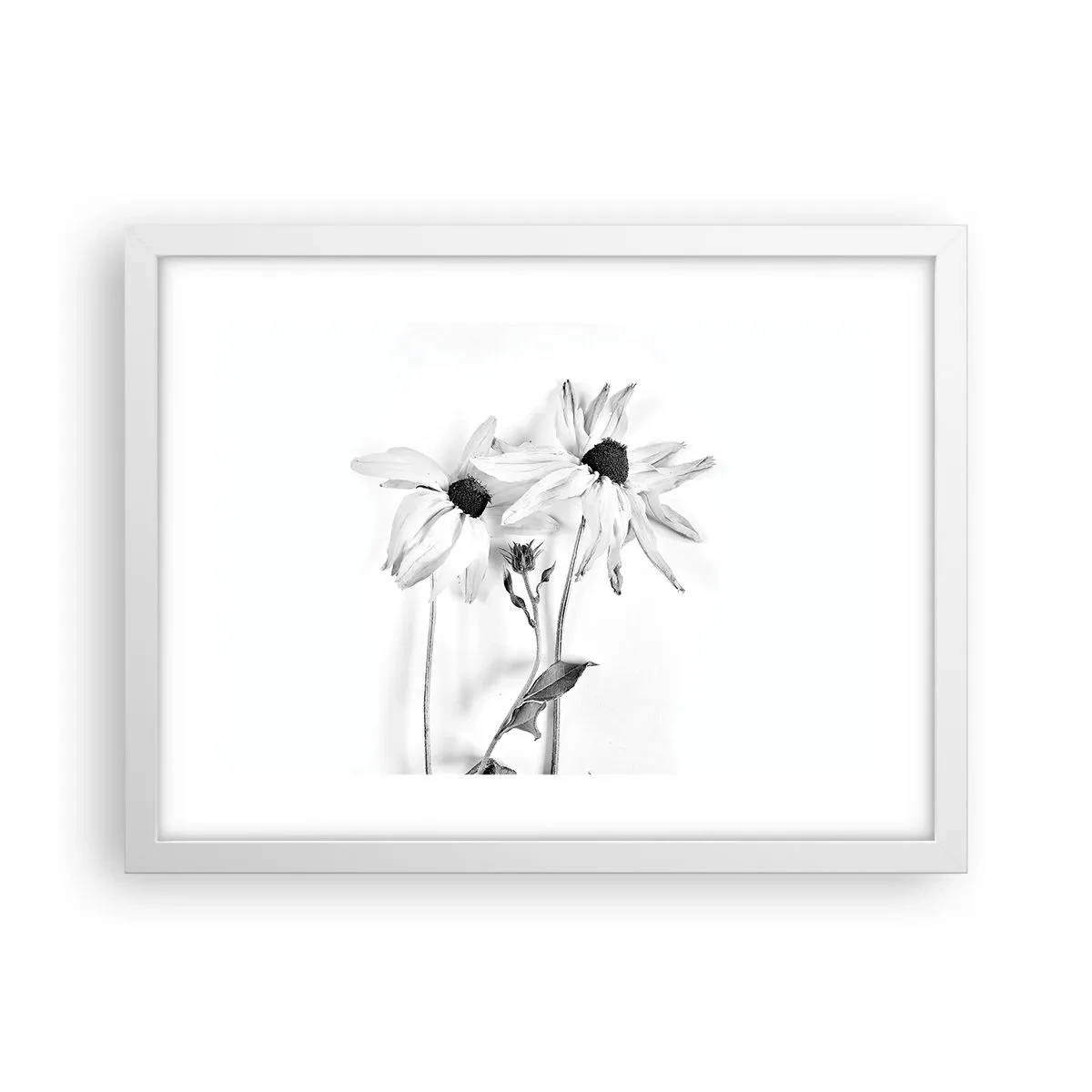 Poszter fekete keretben - Senki sem akar egyedül lenni - 40x30 cm