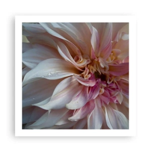 Poszter - Virágzó frissesség - 60x60 cm