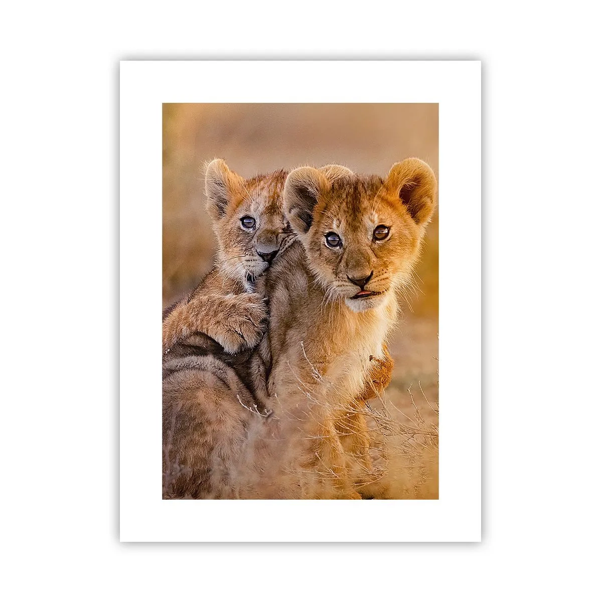 Poszter - Ne zavarni! Szórakozunk - 30x40 cm