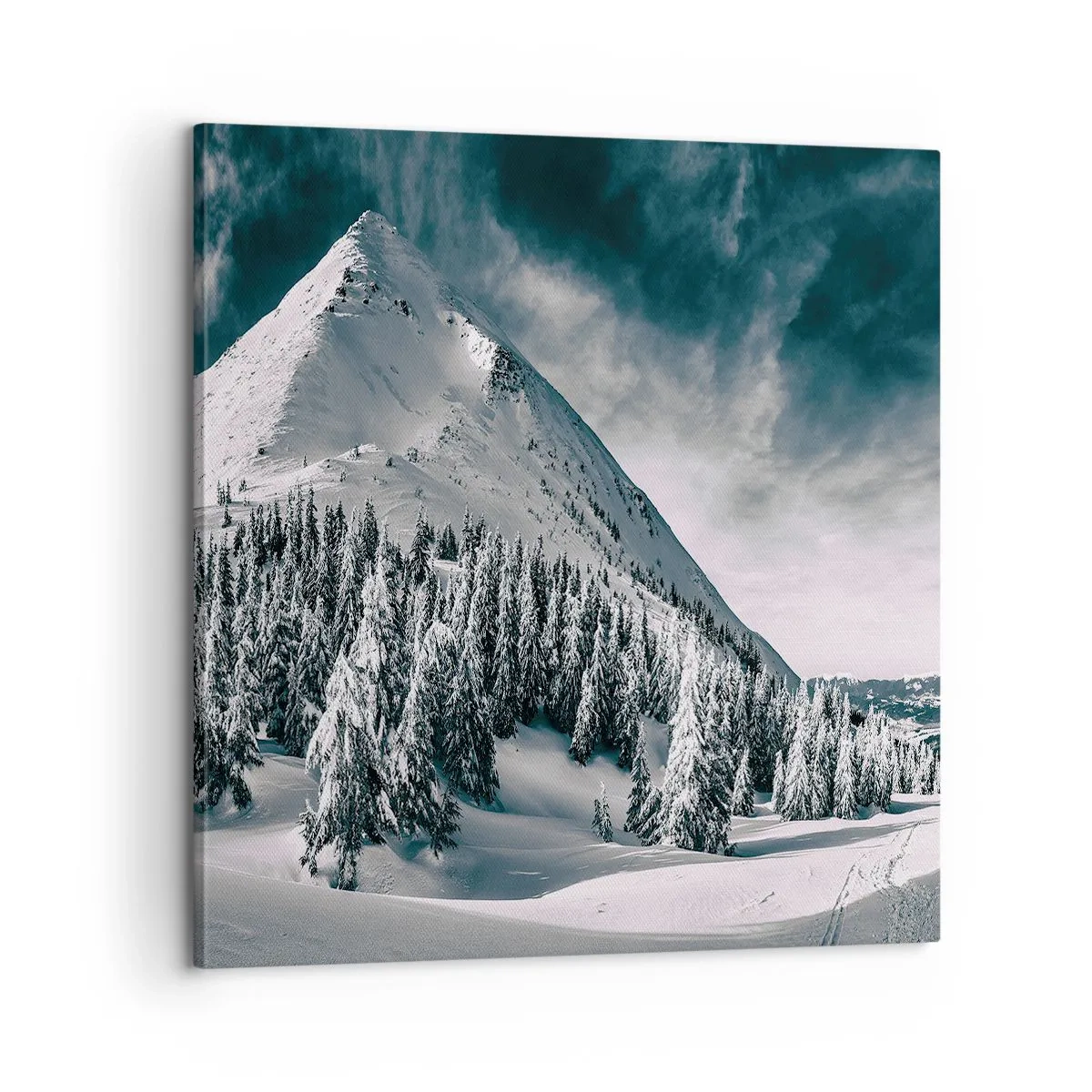 Vászonkép - A hó és a jég országa - 60x60 cm