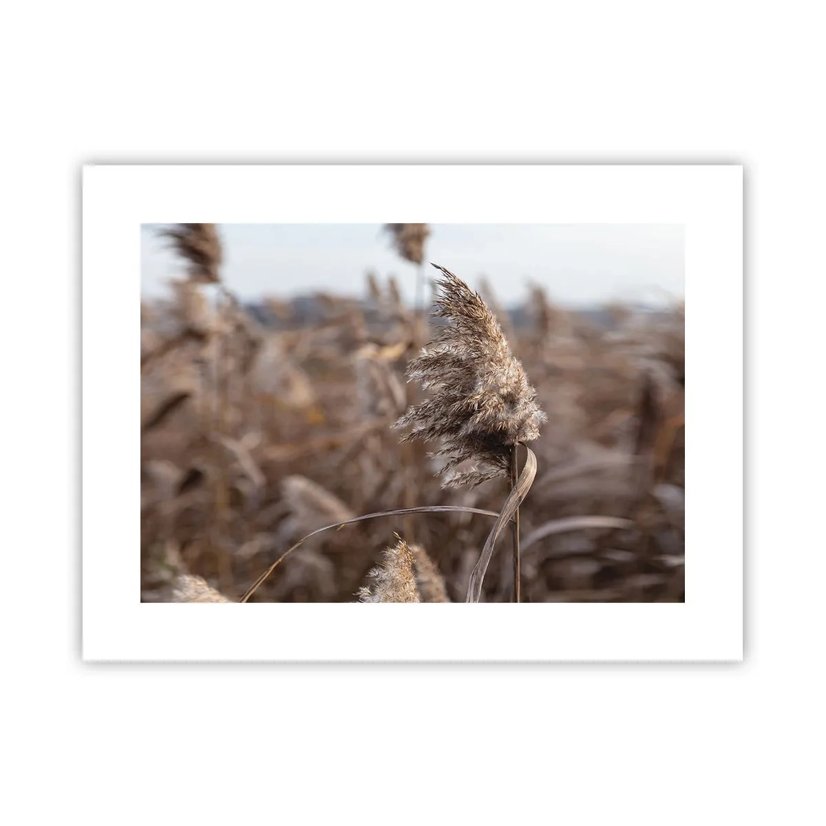 Poszter - Ideje elrepülni a széllel - 40x30 cm