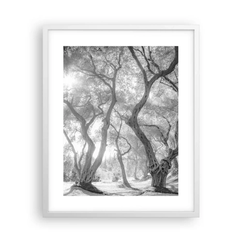 Poszter fekete keretben - Egy olajfaligetben - 40x50 cm