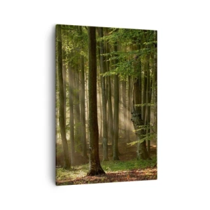 Vászonkép - Ragyogó tavaszi reggelen - 50x70 cm