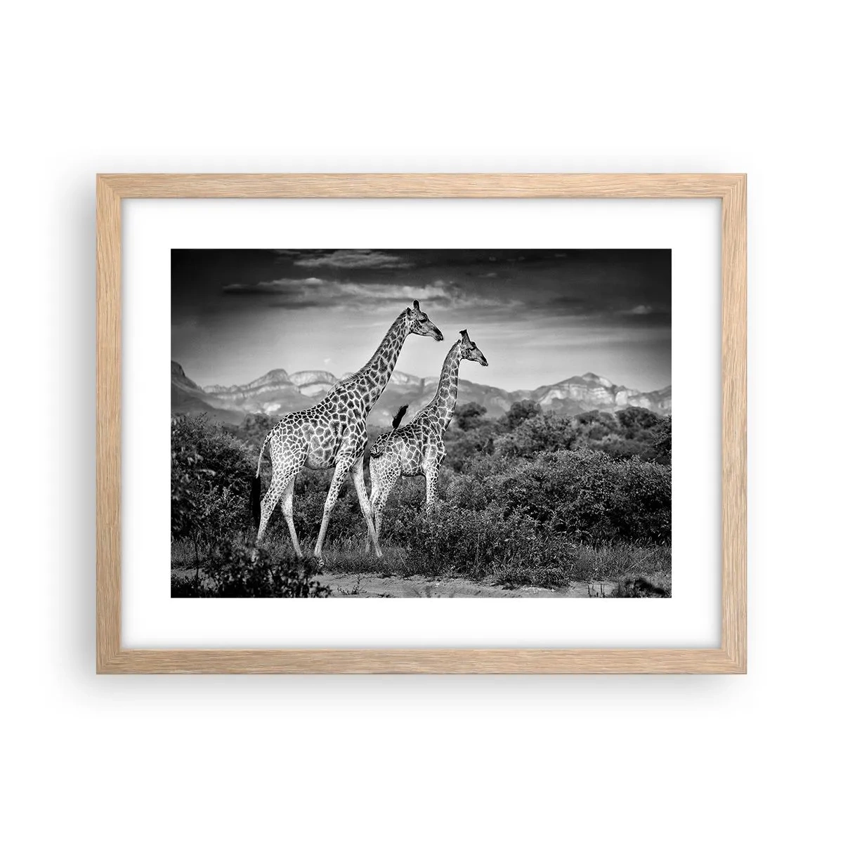 Poszter világos tölgy keretben - Magas rangok Afrikában - 40x30 cm