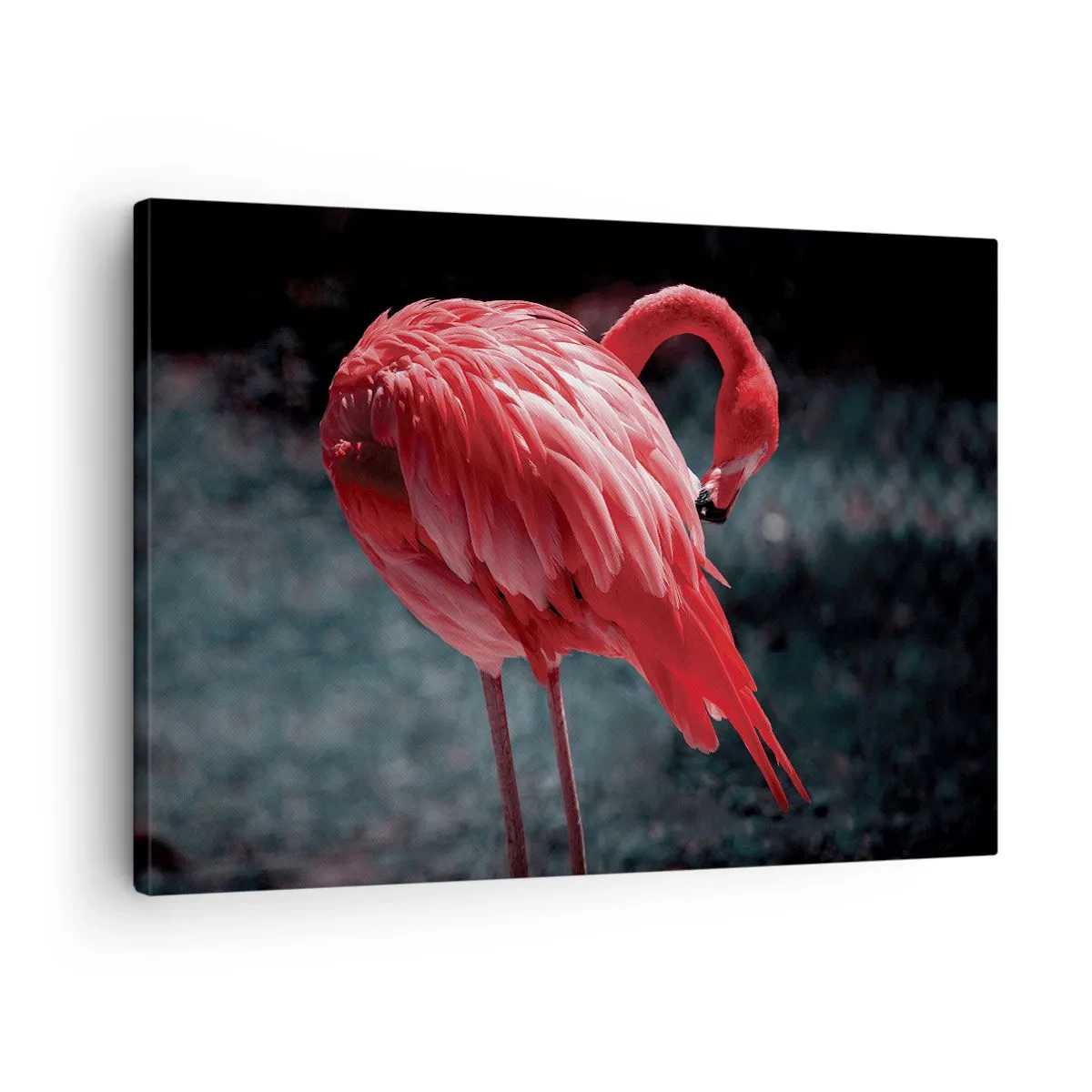Vászonkép - Rózsaszín flamingó sötétzöld háttér előtt - 70x50cm - A természet karmazsinvörös verse - Modern fali dekoráció nappalihoz és hálószobához ARTTOR