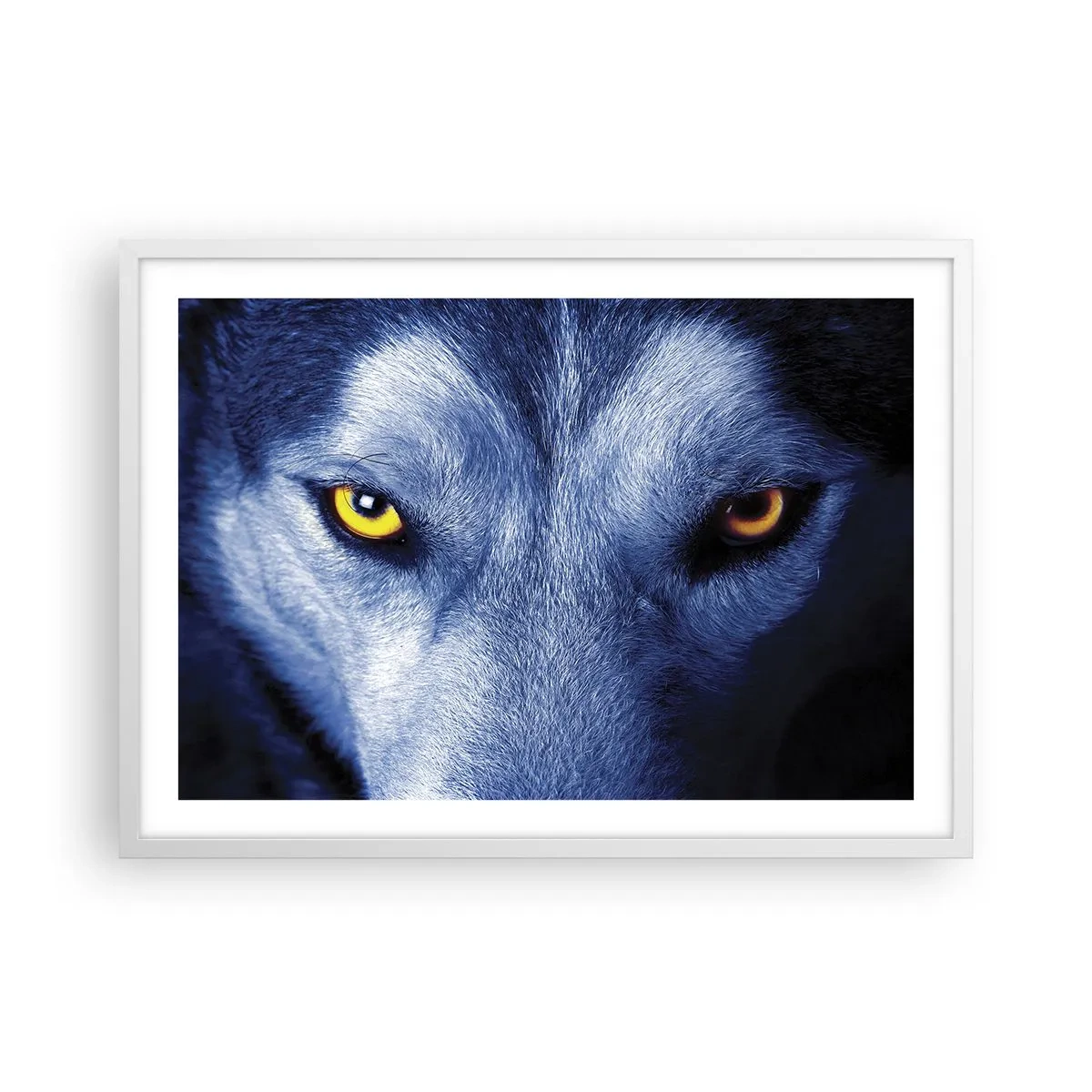 Poszter fekete keretben - Hipnotizáló nézés - 70x50 cm