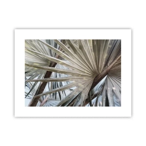 Poszter - Legyező a trópusokon - 40x30 cm