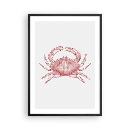 Poszter fehér keretben - Vintage rák rajz világos háttéren - 50x70cm - Rák a rákok felett - Modern fali dekoráció nappalihoz és hálószobához ARTTOR