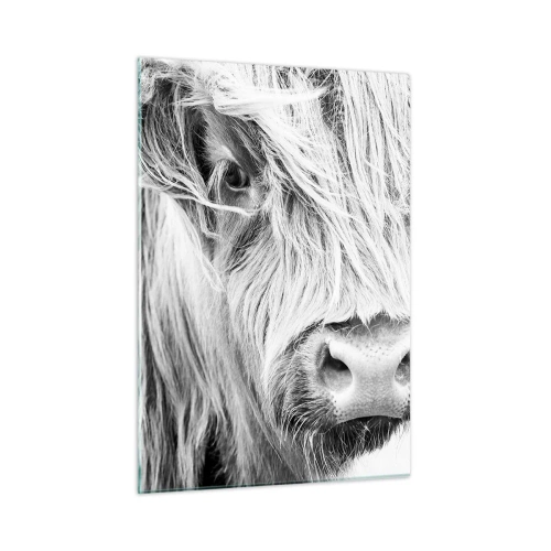 Üveg kép - Skót vadság - 50x70 cm