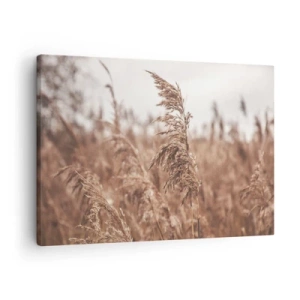 Vászonkép - Aranyló füvek az őszi táj hátterében - 70x50cm - Ősz van már a mezőkön - Modern fali dekoráció nappalihoz és hálószobához ARTTOR