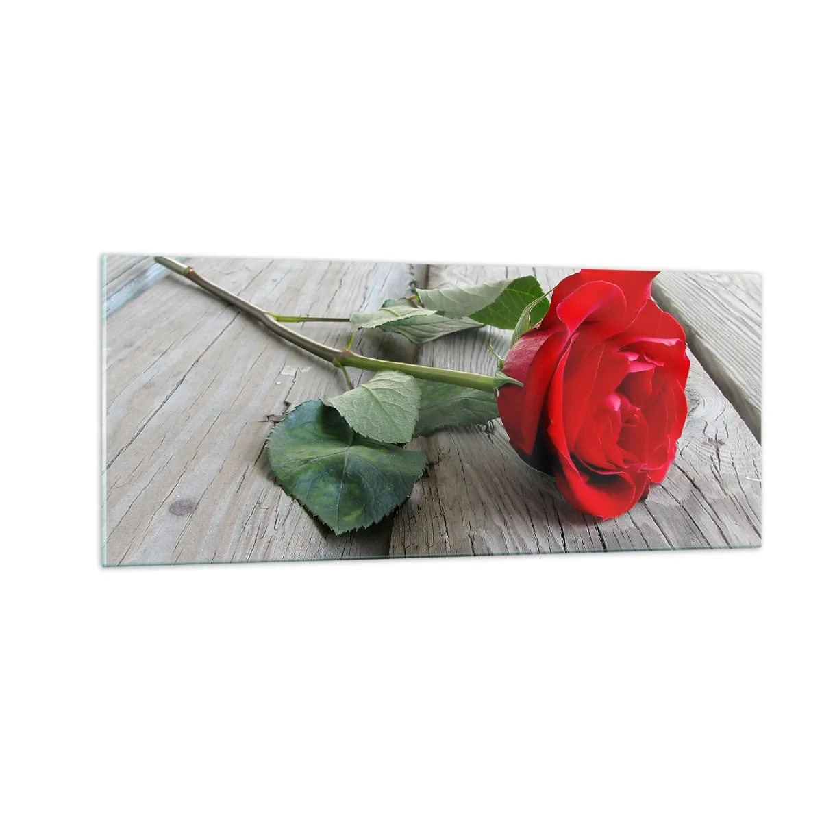 Üveg kép - Egy tanulmány Scarletben - 100x40 cm