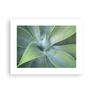 Poszter - A zöld születése - 40x30 cm