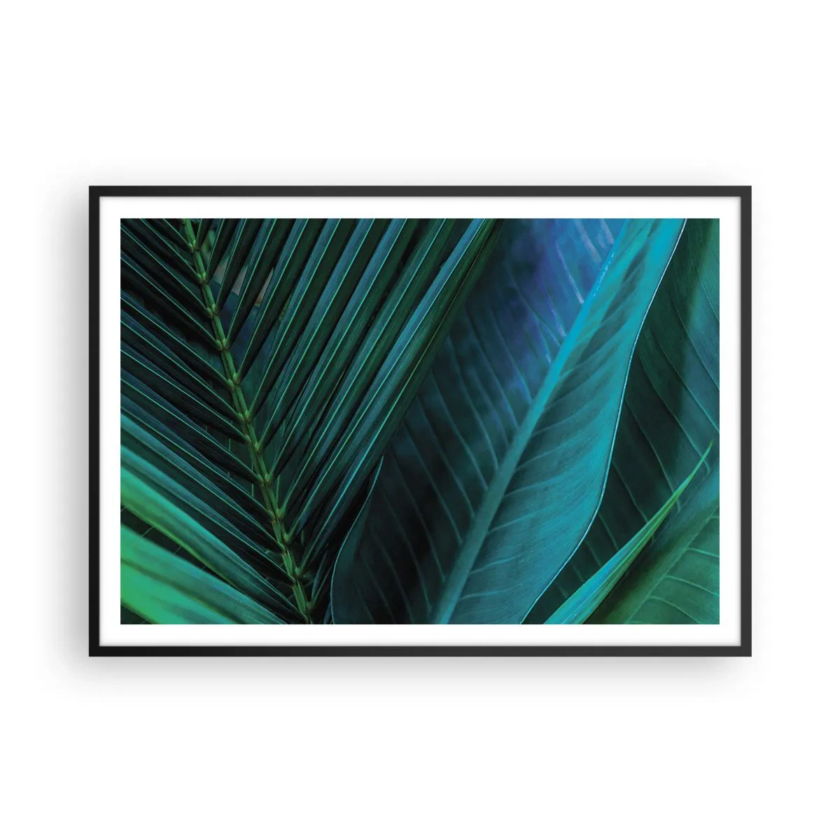 Poszter fehér keretben - A zöld anatómiája - 100x70 cm