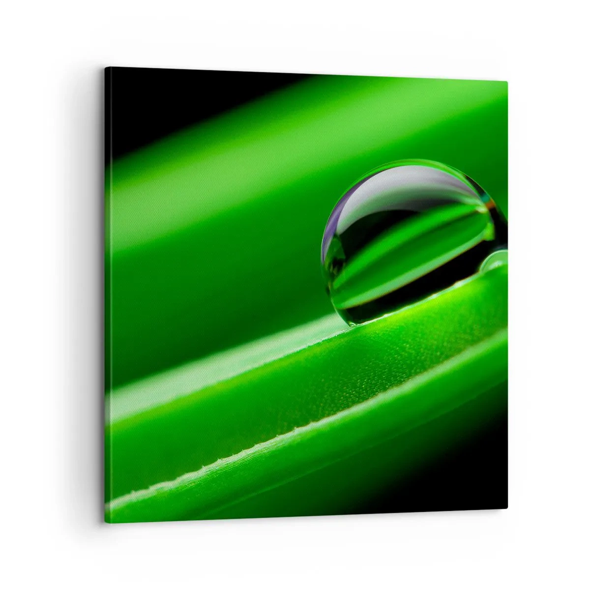 Vászonkép - Élet közelről - 60x60 cm