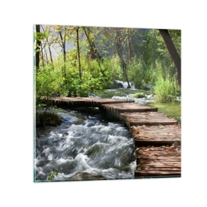 Üveg kép - A habzó zuhatag felett - 60x60 cm