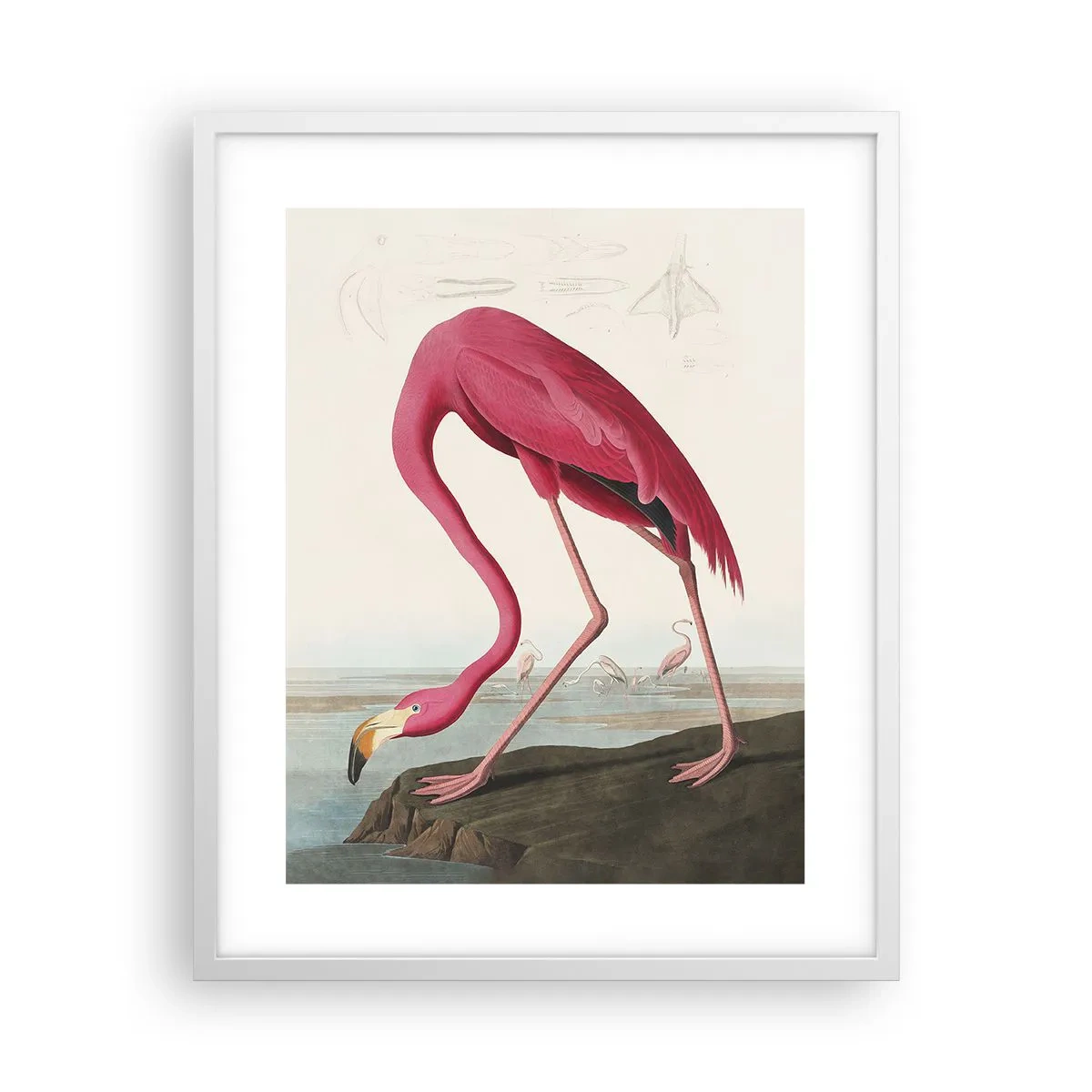 Poszter fekete keretben - Csodálatos teremtmény - 40x50 cm