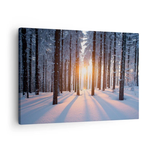 Vászonkép - Téli erdő, amelyet a nap sugarai világítanak meg - 70x50cm - Egyértelműen fekete-fehéren - Modern fali dekoráció nappalihoz és hálószobához ARTTOR