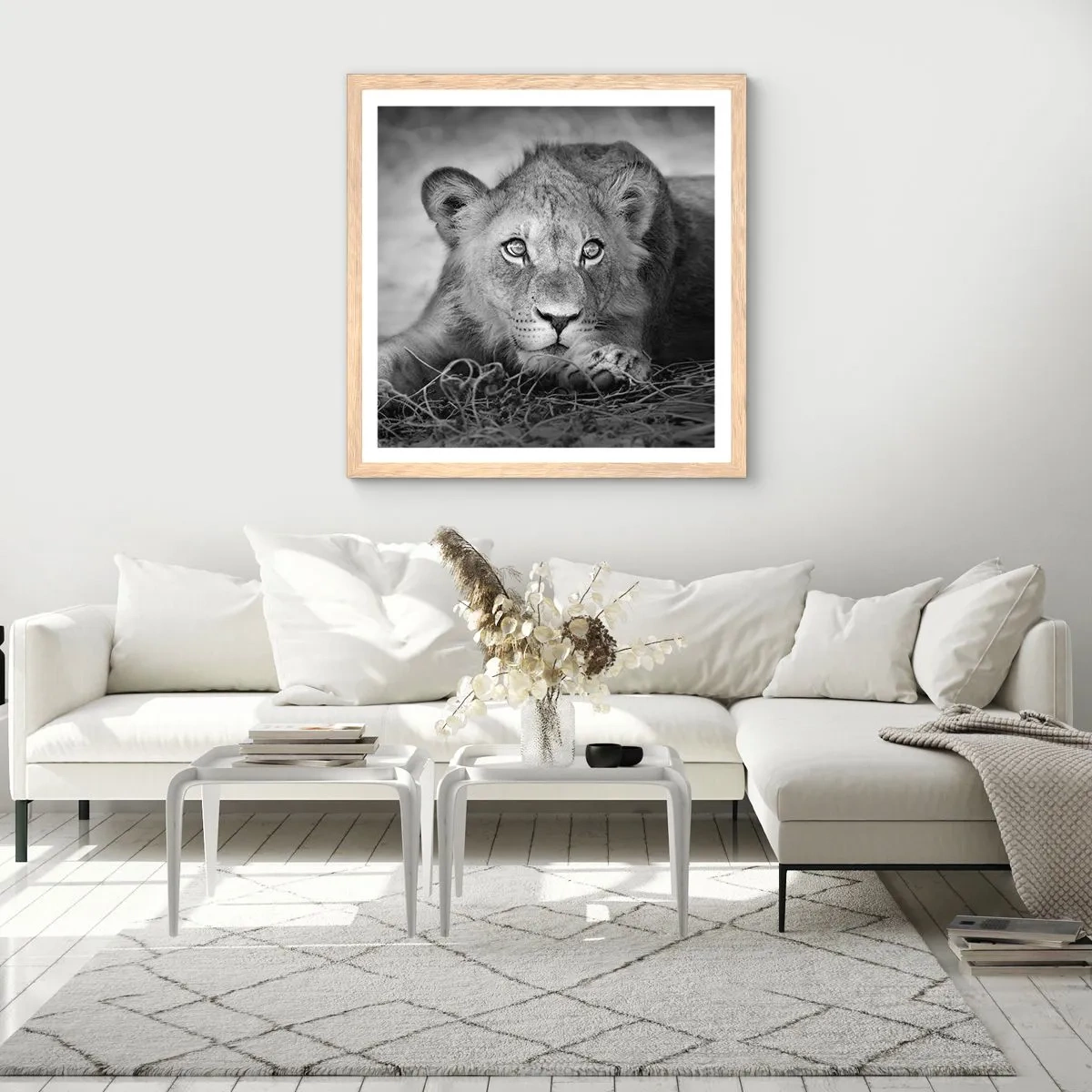 Poszter világos tölgy keretben - Királyi kölyök - 40x40 cm