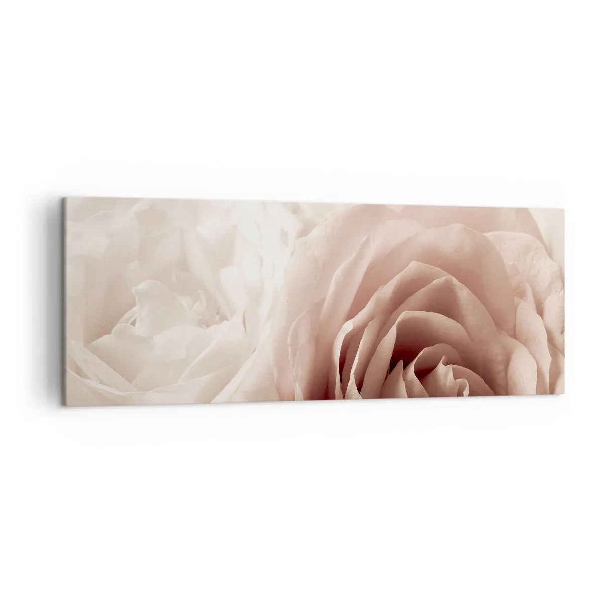 Vászonkép - Egy rózsa szívében - 140x50 cm