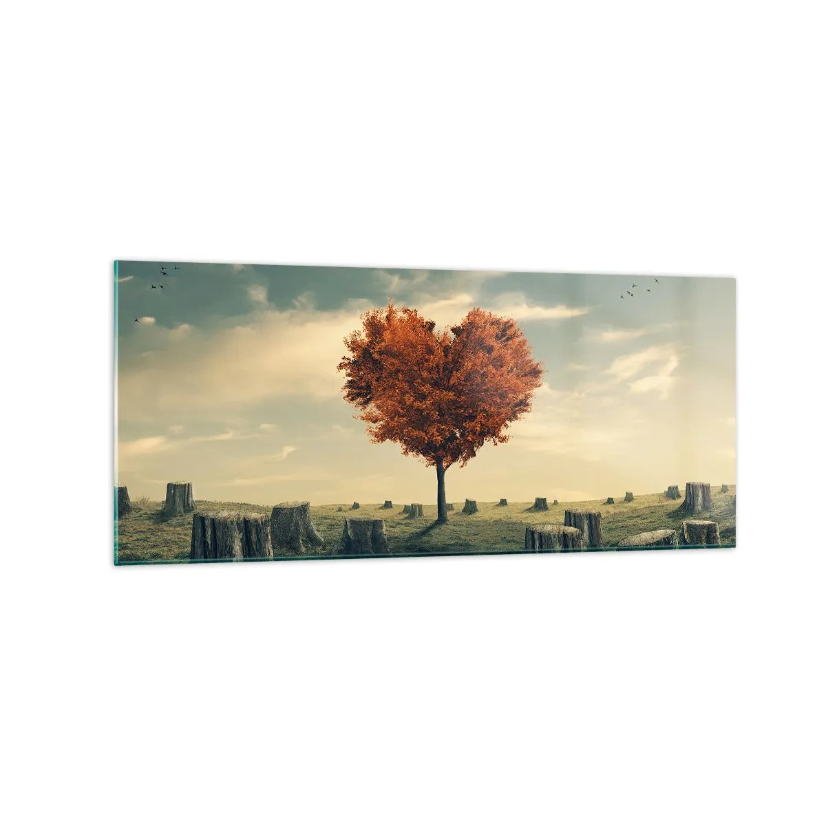 Üveg kép - Még mindig van remény - 120x50 cm