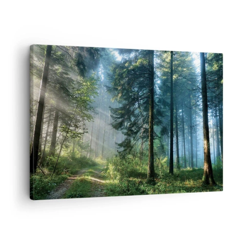 Vászonkép - Egy erdei ösvény, melyet a reggeli nap sugarai világítanak meg - 70x50cm - Sugárzó reggel - Modern fali dekoráció nappalihoz és hálószobához ARTTOR