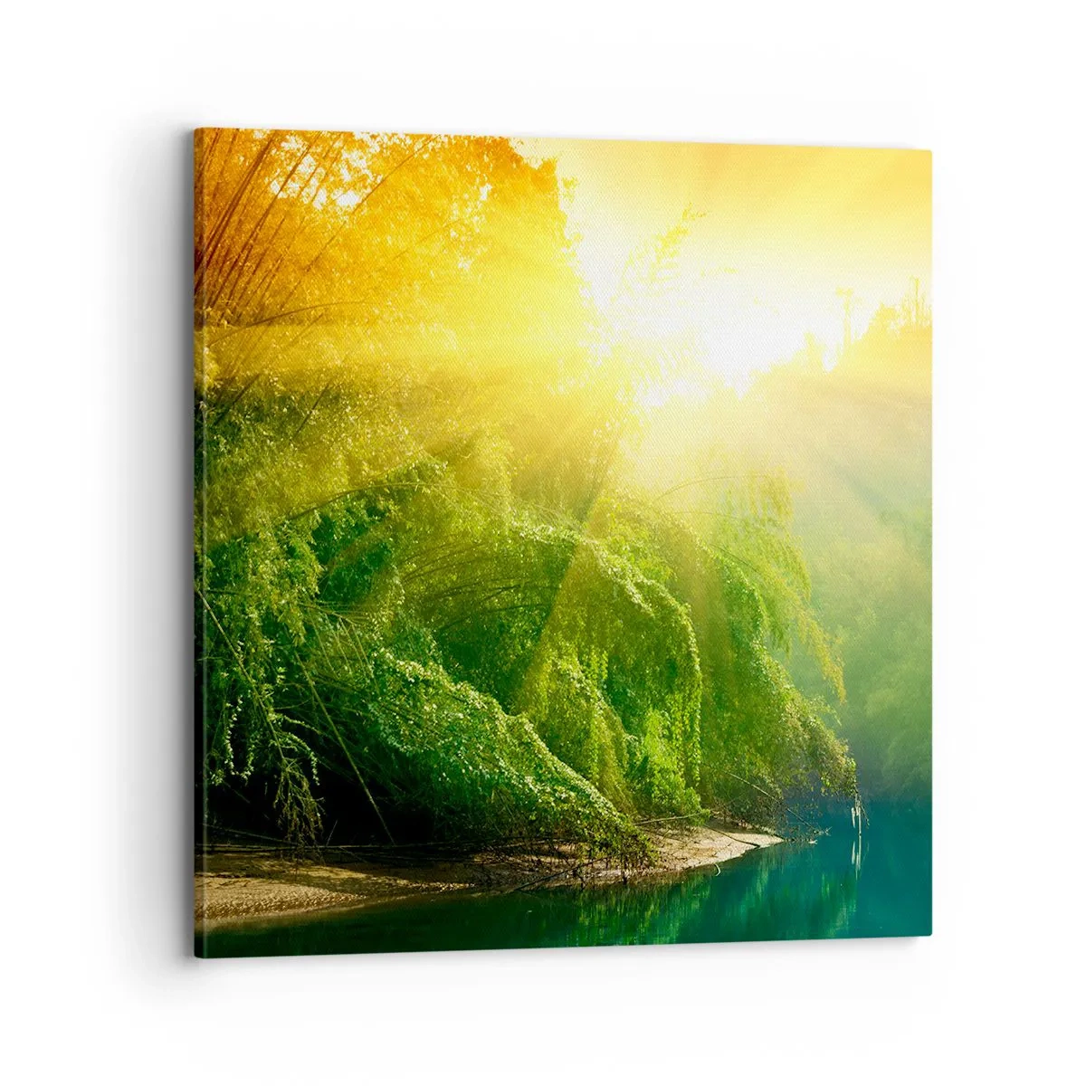 Vászonkép - Elmerülni a napban és az árnyékban - 70x70 cm