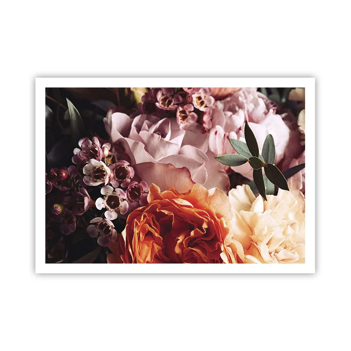 Poszter - Szépségbe burkolózva - 100x70 cm