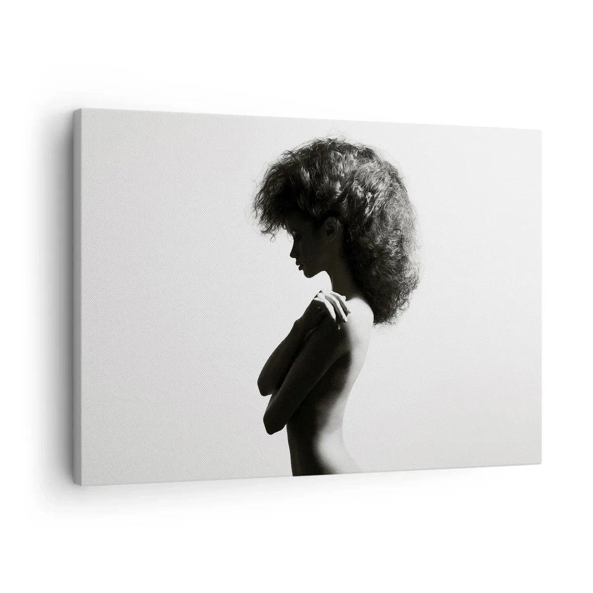 Vászonkép - Egy nő finom sziluettje fekete-fehér árnyalatokban, világos háttér előtt - 70x50cm - Mint virág a karcsú száron - Modern fali dekoráció nappalihoz és hálószobához ARTTOR