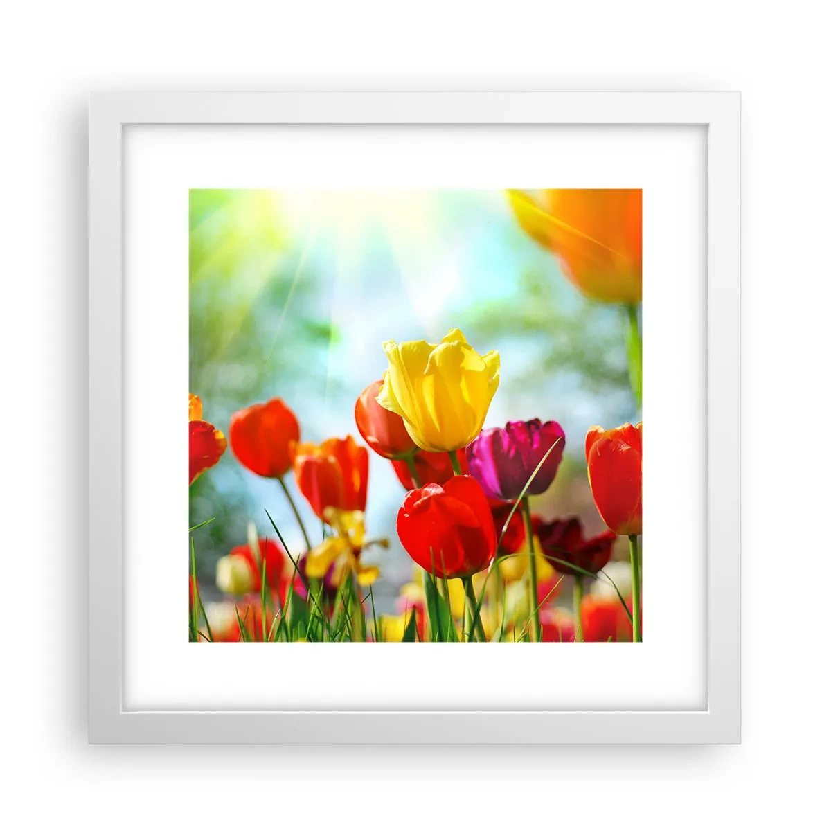 Poszter fekete keretben - A nap minden színe - 30x30 cm