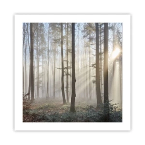 Poszter - A köd is felébredt - 50x50 cm