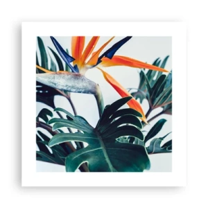 Poszter - Madárkalitka - 40x40 cm