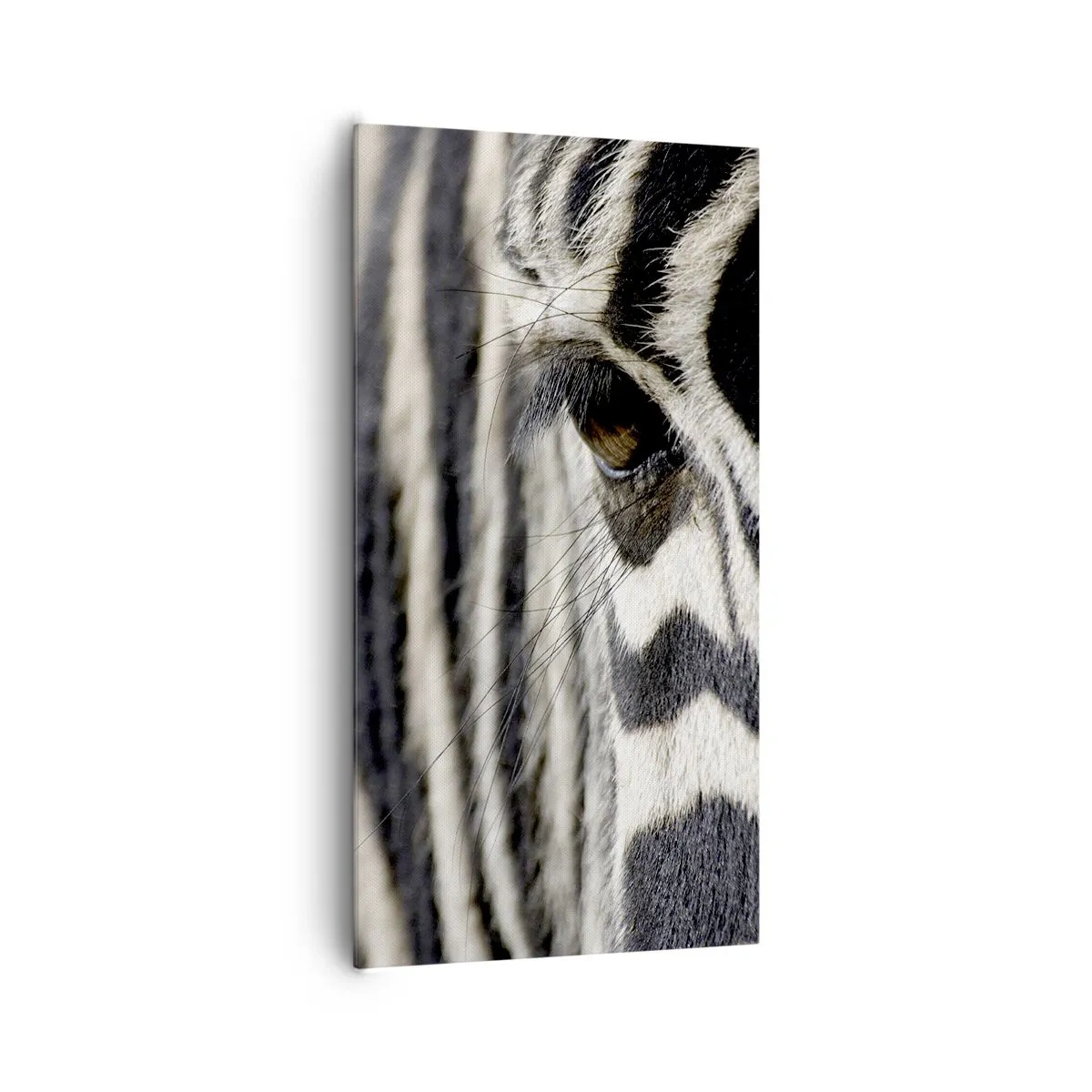 Vászonkép - Csíkos portré - 65x120 cm