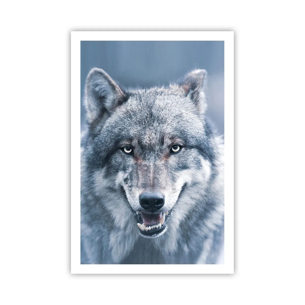 Poszter - Vállalod a kihívást? - 61x91 cm