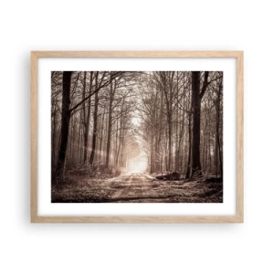 Poszter világos tölgy keretben - Erdei katedrális - 50x40 cm
