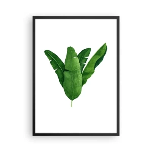 Poszter fehér keretben - Szimmetrikusan elrendezett banánlevelek akvarell illusztrációja fehér alapon. - 50x70cm - Zöld szimmetria - Modern fali dekoráció nappalihoz és hálószobához ARTTOR