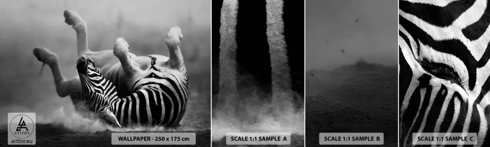 Fotótapéta Minta Öntapadós Deluxe Sticker - Nem csak a ló nevetne - Állatok, Borda, Természet - 100x30 cm