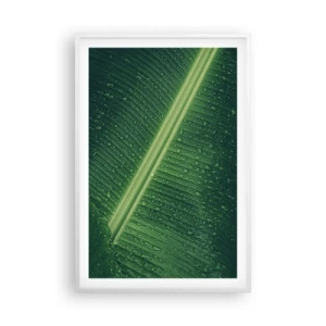 Poszter fekete keretben - A növényzet szerkezete - 61x91 cm
