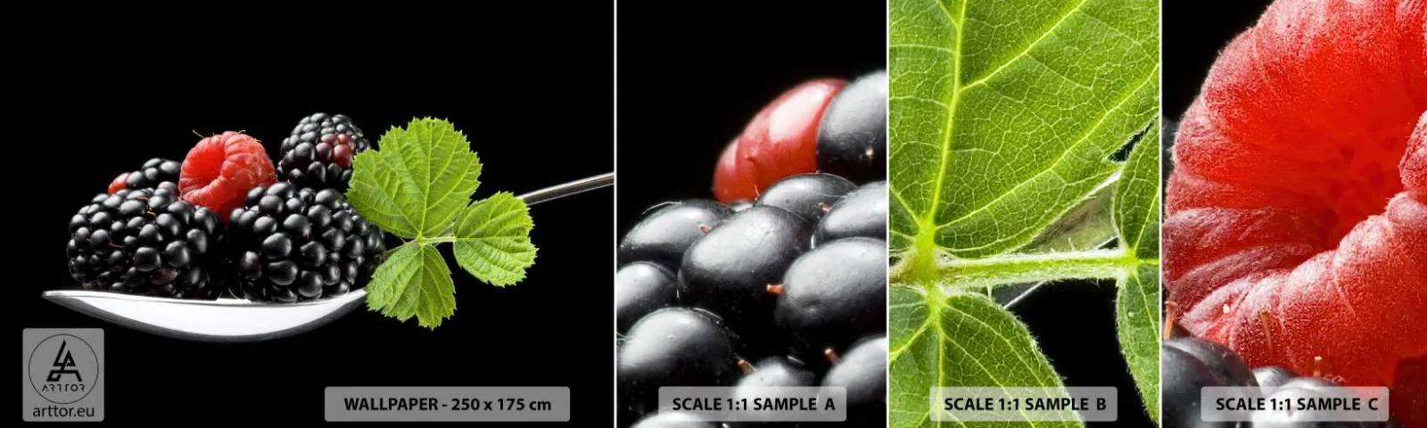 Fotótapéta Minta Standard Eco - A frissesség íze - Gyümölcs, Földi szeder, Málna - 100x30 cm