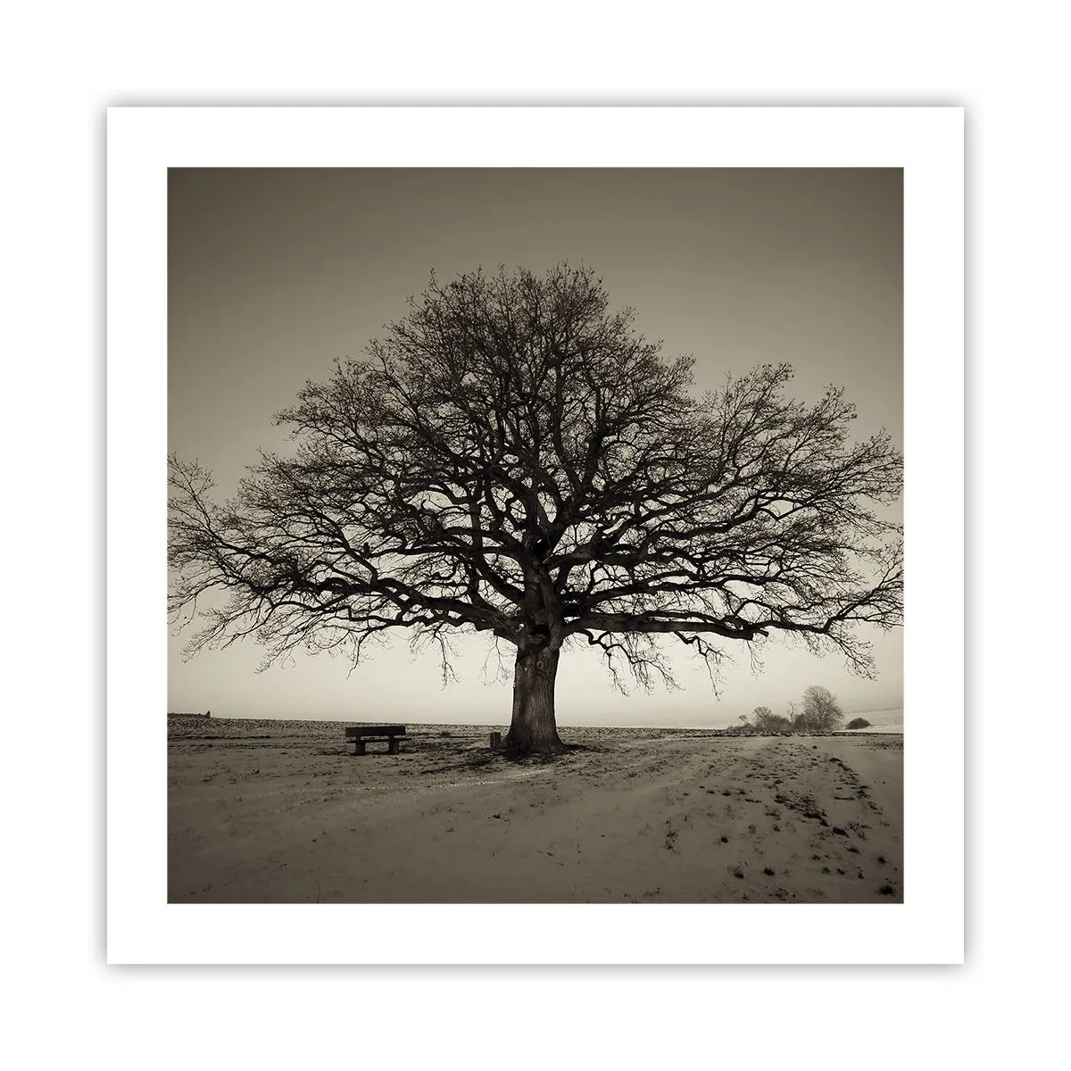 Poszter - Innen az örökkévalóságig - 50x50 cm