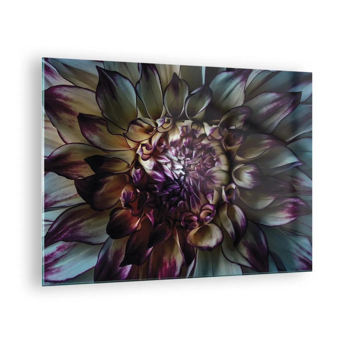 Üveg kép - Közeli kép egy virágról sötét színpalettán - 70x50cm - A fiatalság kivirágzása - Modern fali dekoráció nappalihoz és hálószobához ARTTOR