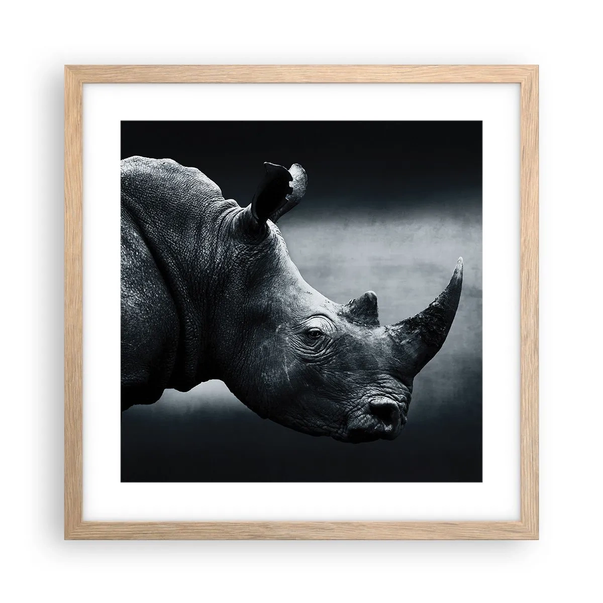 Poszter világos tölgy keretben - Jobb profil - 40x40 cm