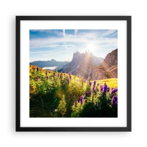 Poszter fehér keretben - A gyógynövények titkos élete - 40x40 cm