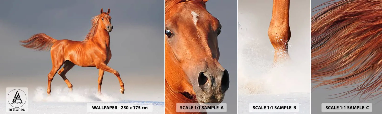 Fotótapéta Minta Öntapadós Deluxe Sticker - Táncoló szépség - Állatok, Ló, Természet - 100x30 cm